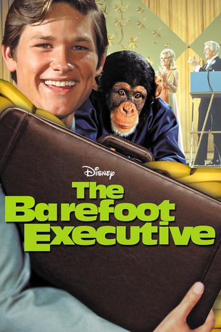 The Barefoot Executive poster