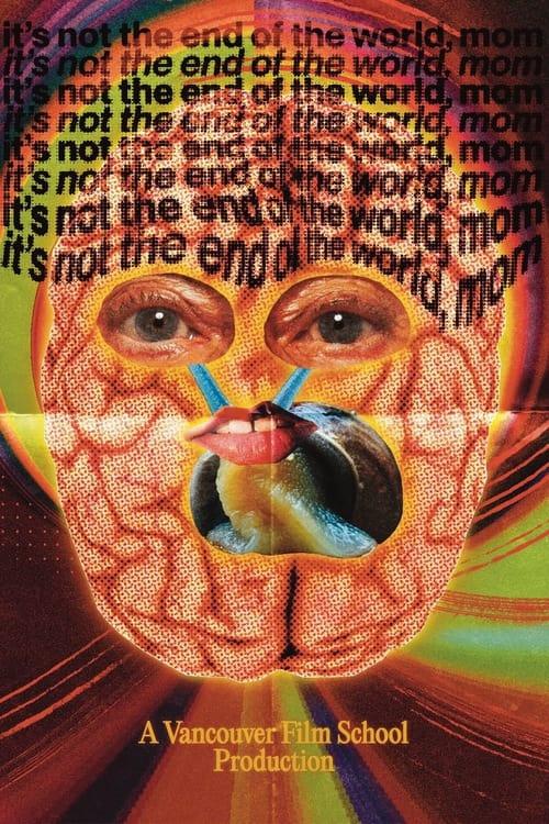 It's Not the End of the World, Mom poster