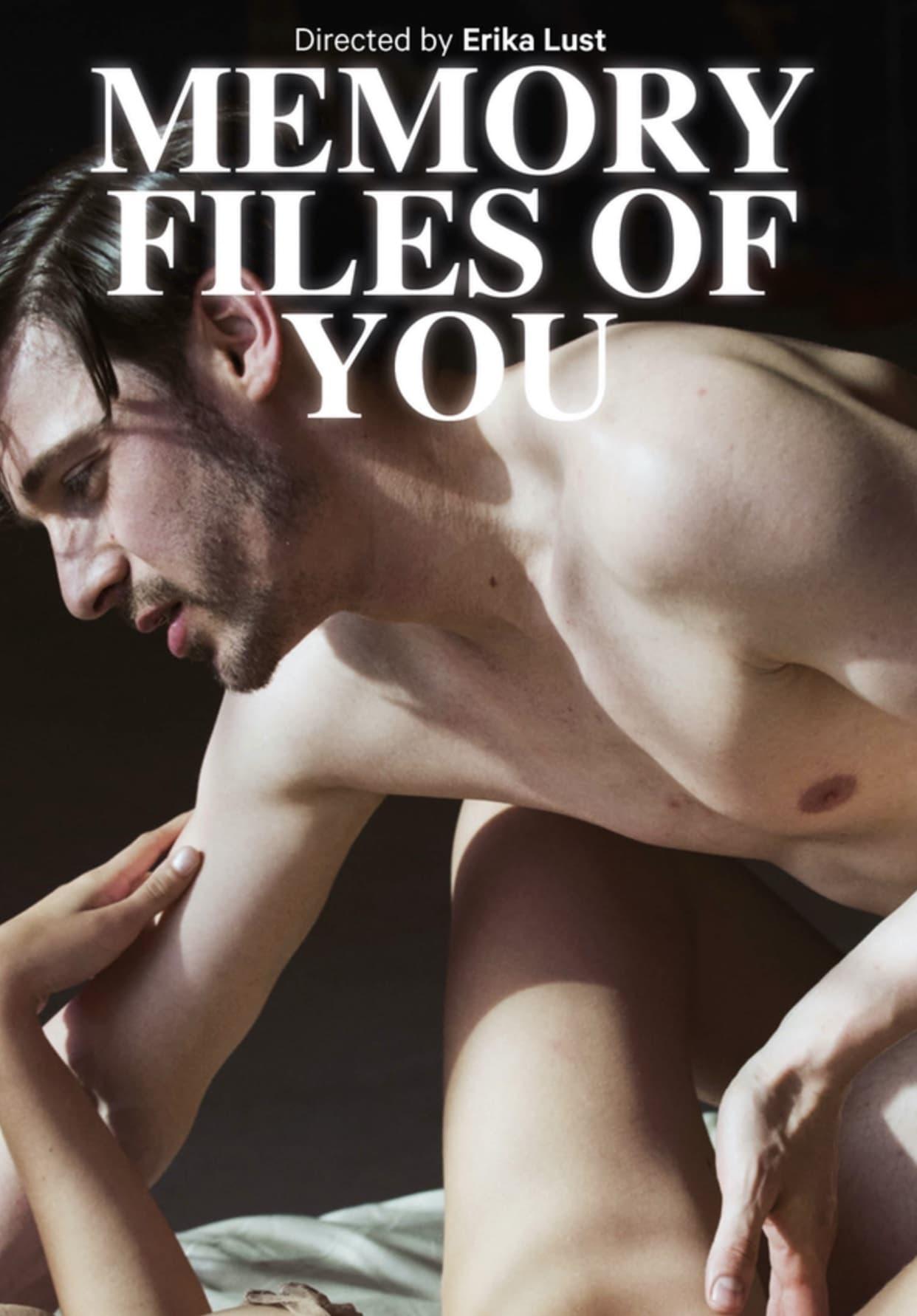 Memory Files of You poster