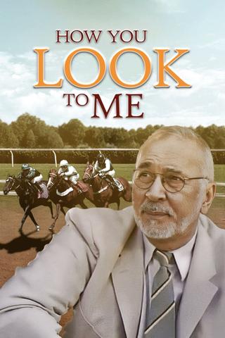 How You Look to Me poster