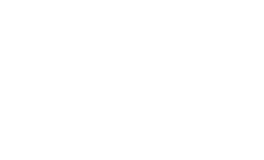 The Prophet logo