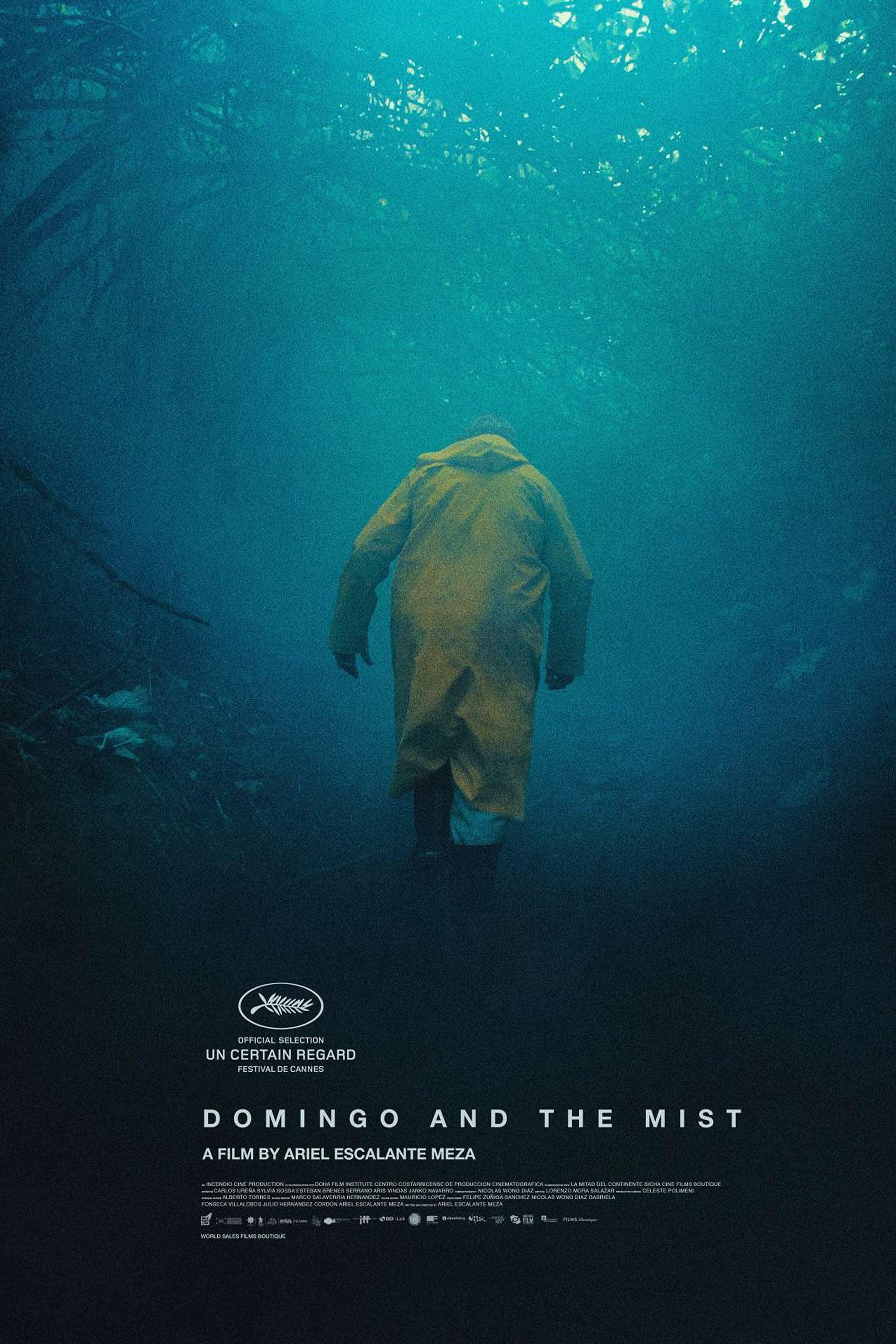 Domingo and the Mist poster