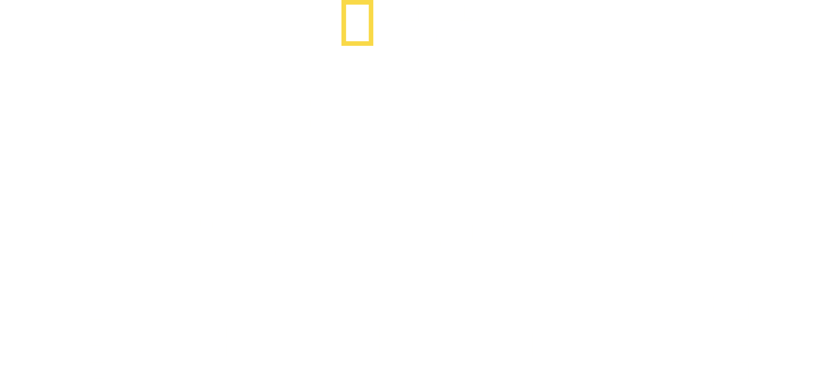 China's Megatomb Revealed logo