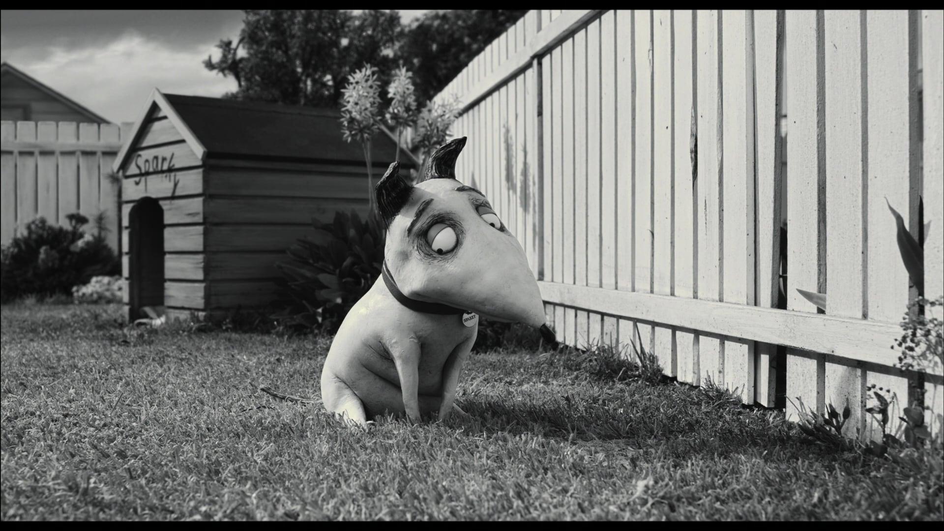 Miniatures in Motion: Bringing Frankenweenie to Life backdrop