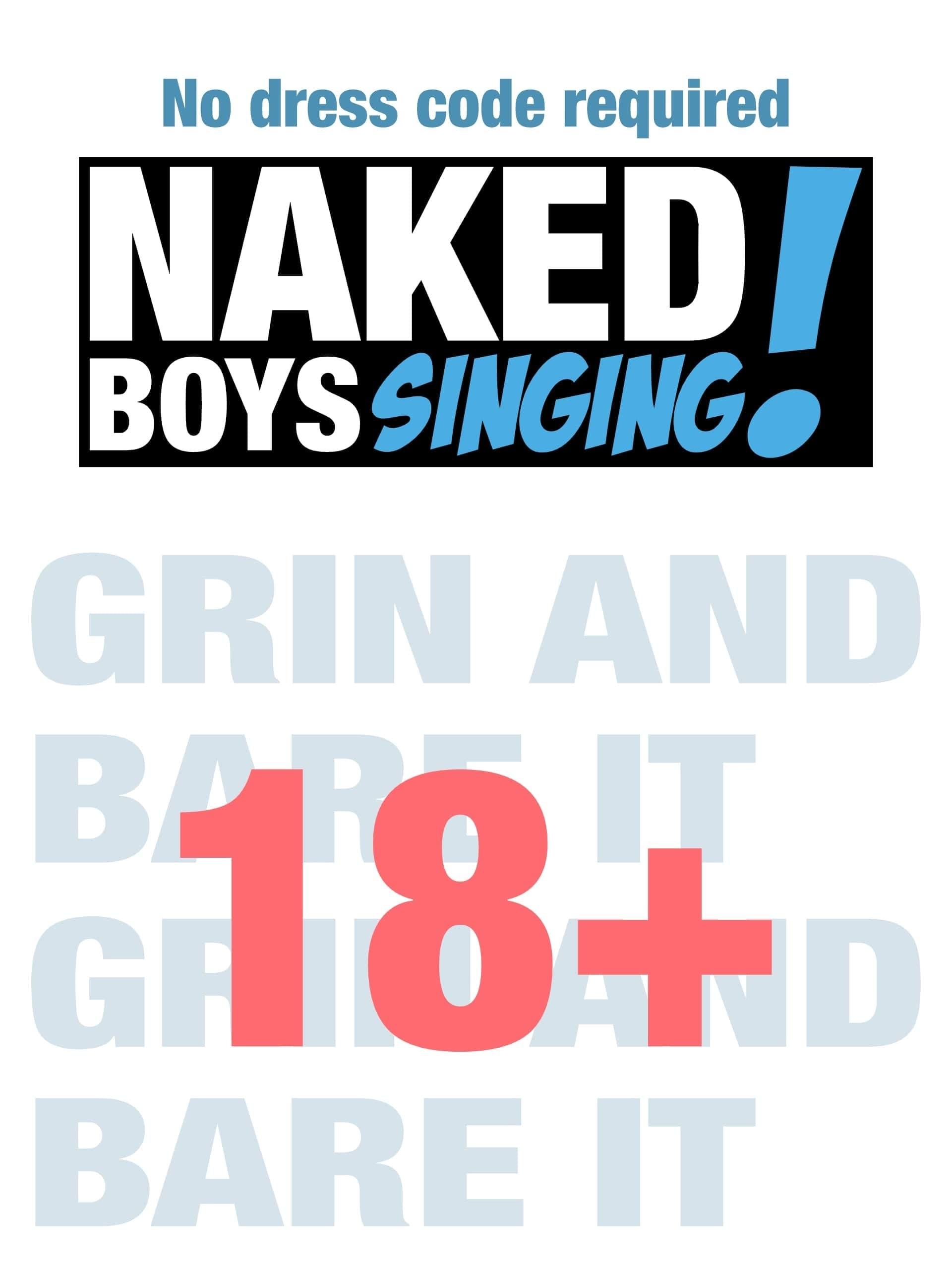 Naked Boys Singing! poster