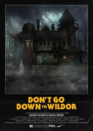 Don’t Go Down to Wildor poster