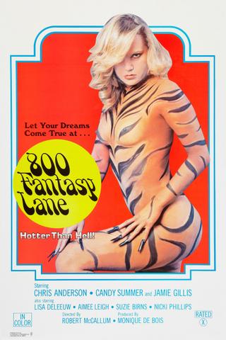 800 Fantasy Lane poster