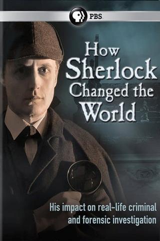 How Sherlock Changed the World poster