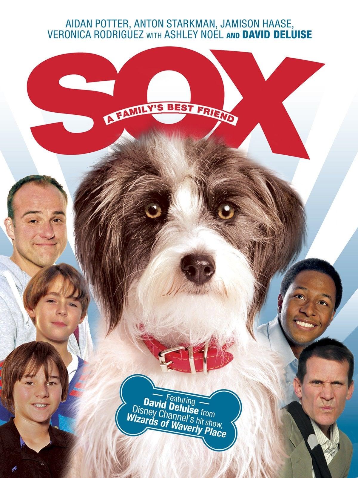 Sox: A Family's Best Friend poster