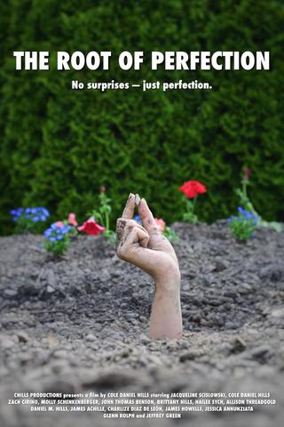 The Root of Perfection poster