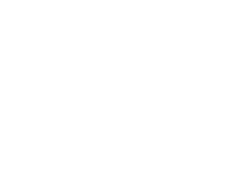 Frame Of Mind logo