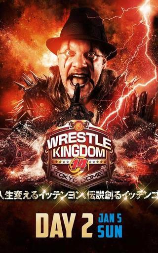 NJPW Wrestle Kingdom 14: Night 2 poster