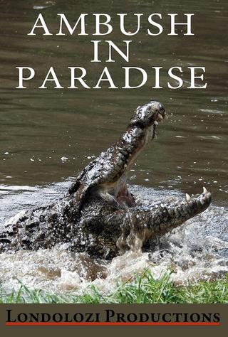 Ambush in Paradise poster