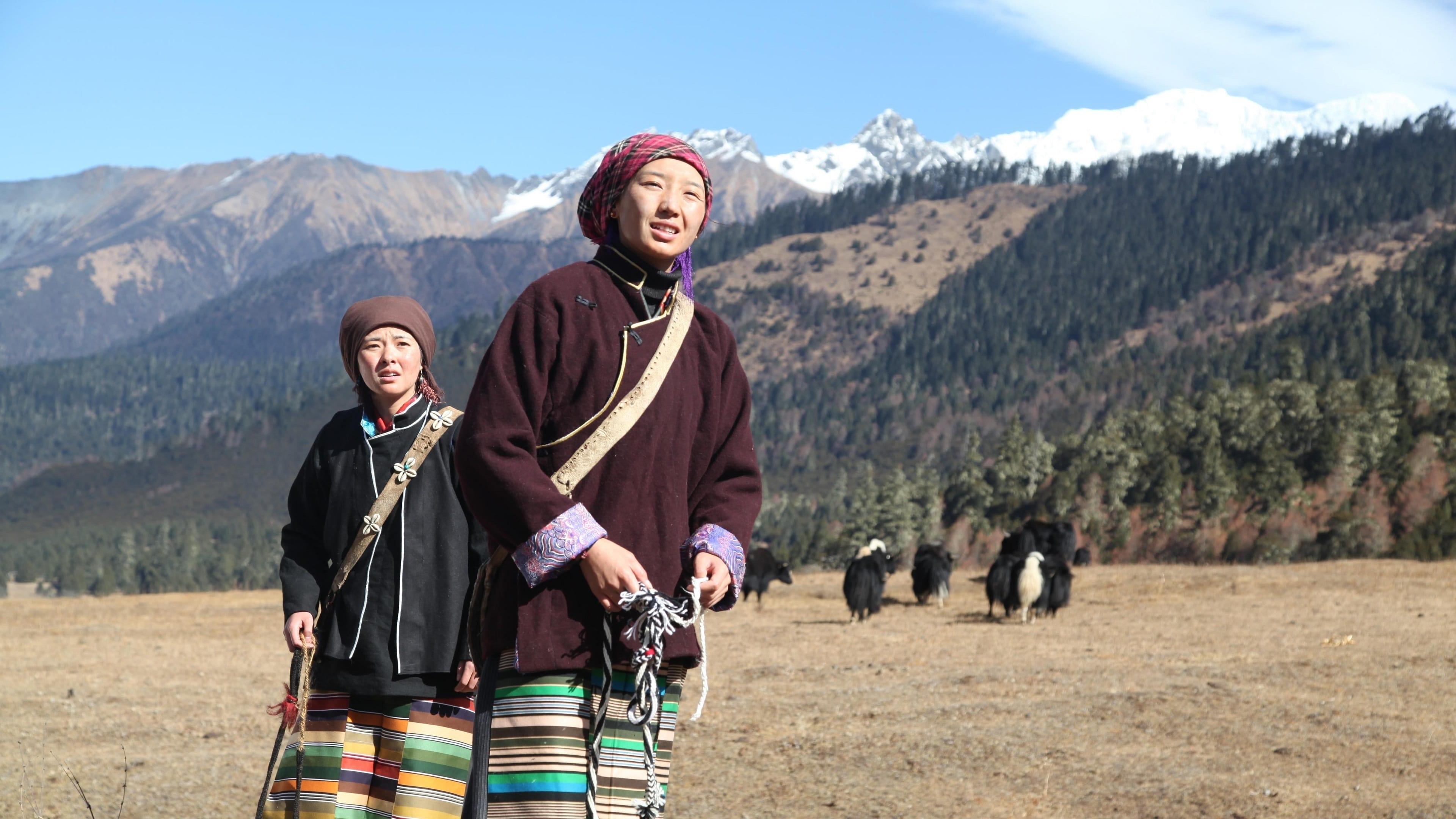 Dunzhu Renqing backdrop