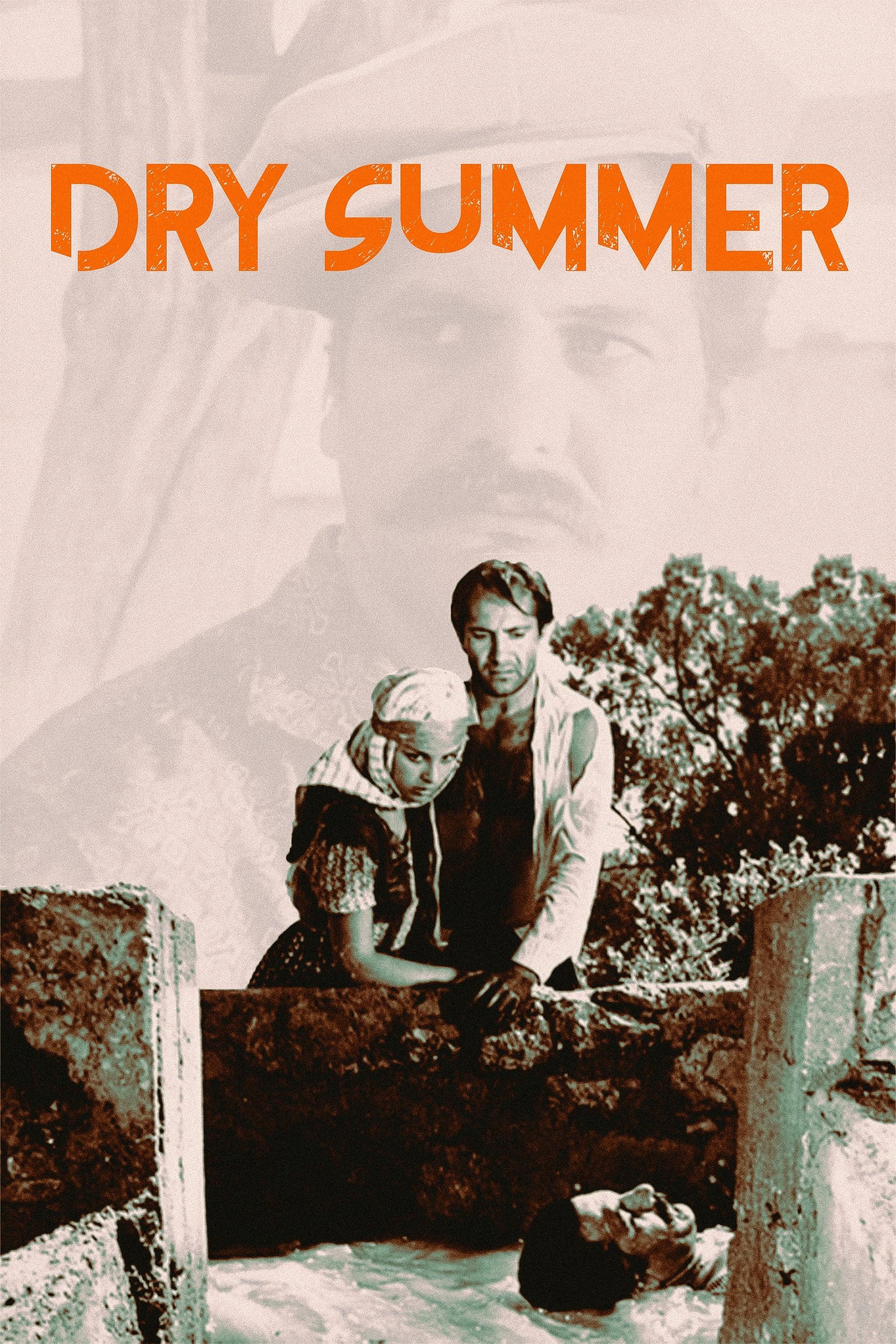 Dry Summer poster