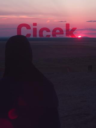 Çiçek poster