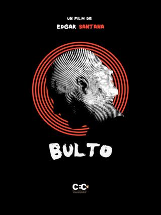 Bulto poster
