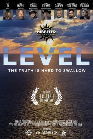 Level poster