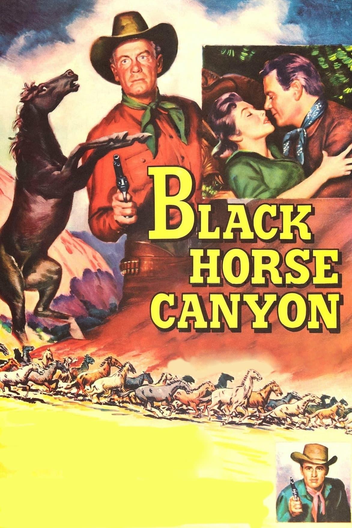 Black Horse Canyon poster