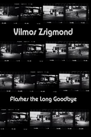 Vilmos Zsigmond Flashes 'The Long Goodbye' poster