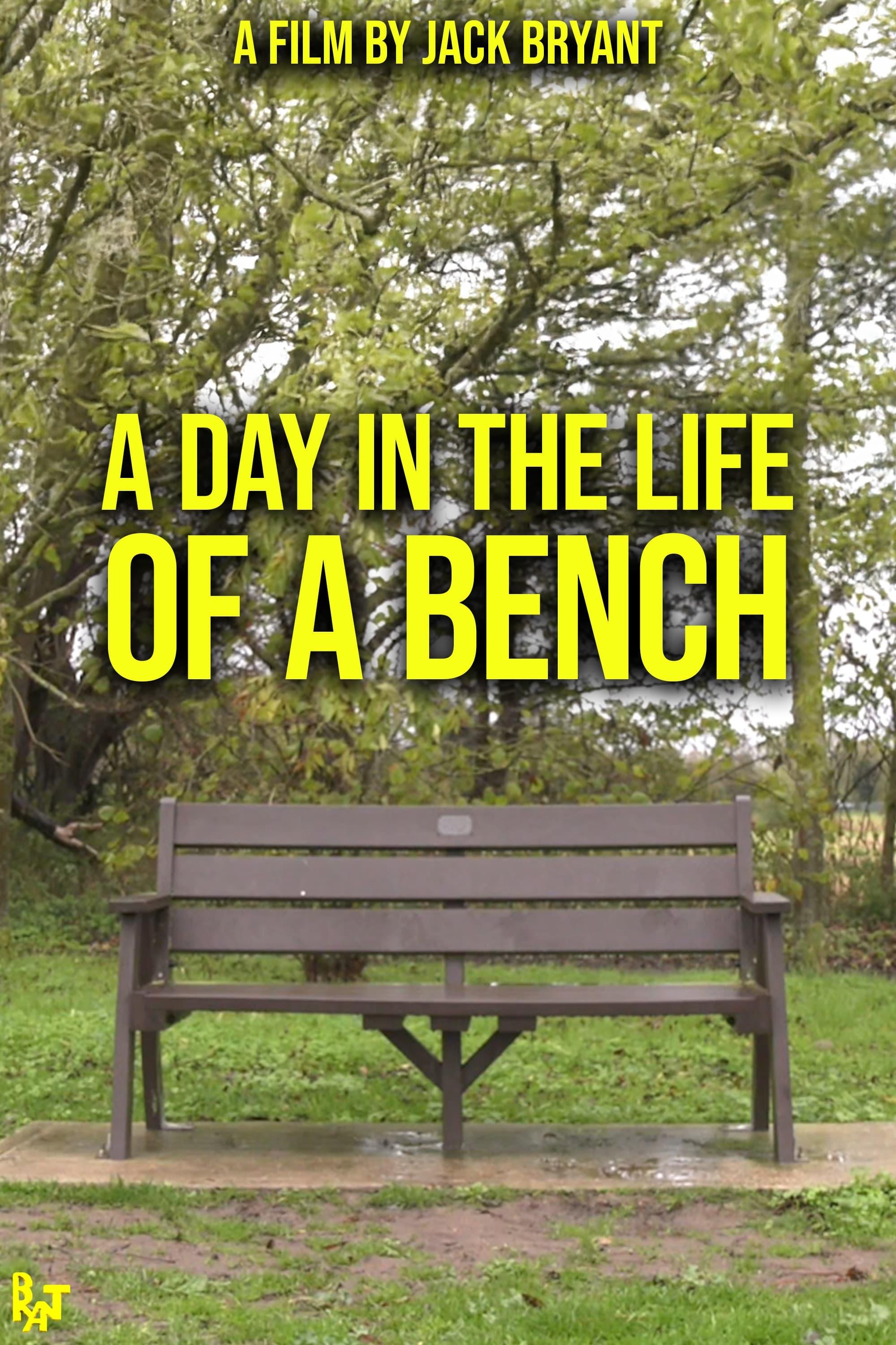 A Day in the Life of a Bench poster