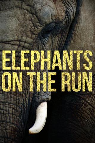 Elephants on the Run poster