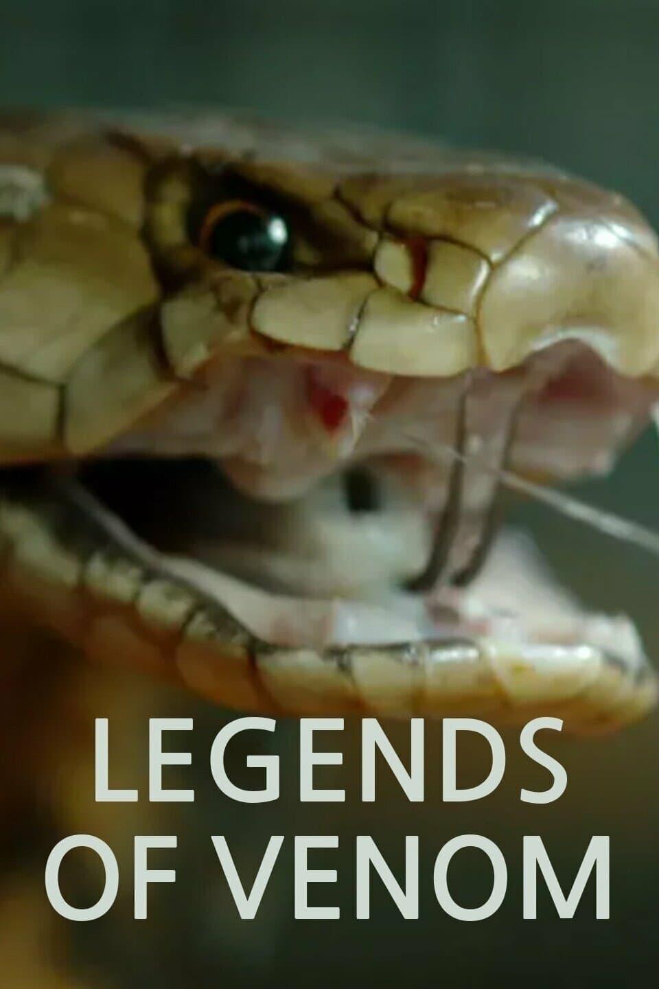 Legends of Venom poster