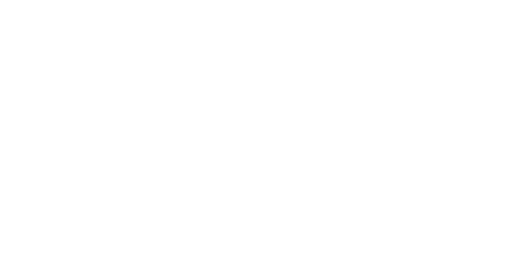 The Wedding Veil Inspiration logo
