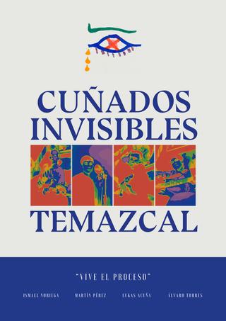 Temazcal, el documental poster