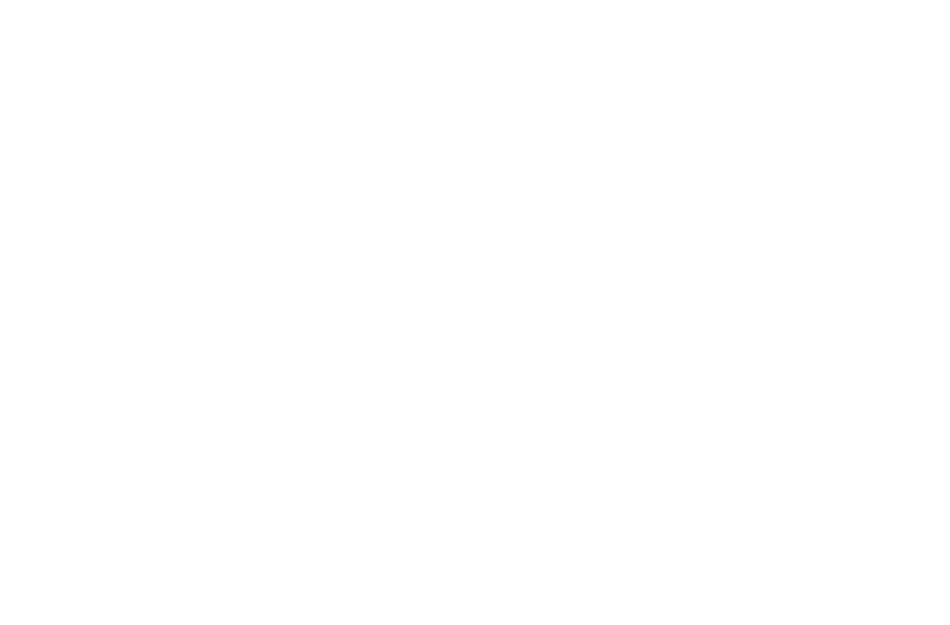 The Invisible Shield logo