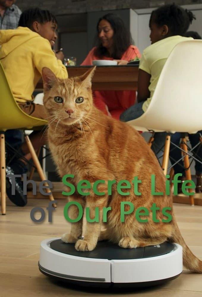 The Secret Life of Our Pets poster
