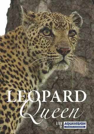 Leopard Queen poster