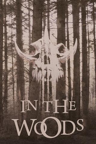 In the Woods poster