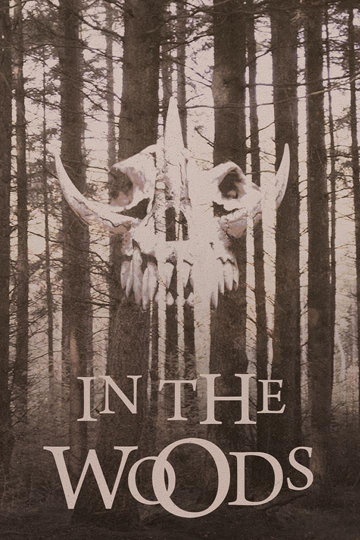 In The Woods poster