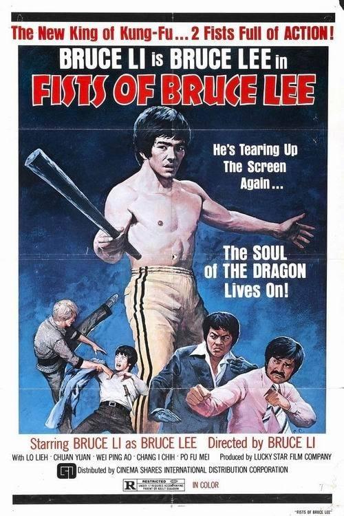 Fists Of Bruce Lee poster