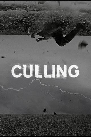 Culling poster