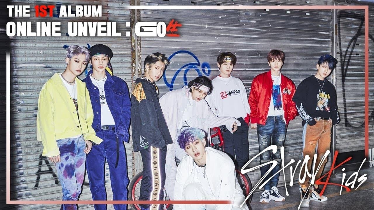 Stray Kids ＜ONLINE UNVEIL  GO生＞ backdrop