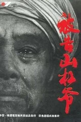 The Accused Uncle Shangang poster
