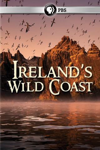 Ireland's Wild Coast poster