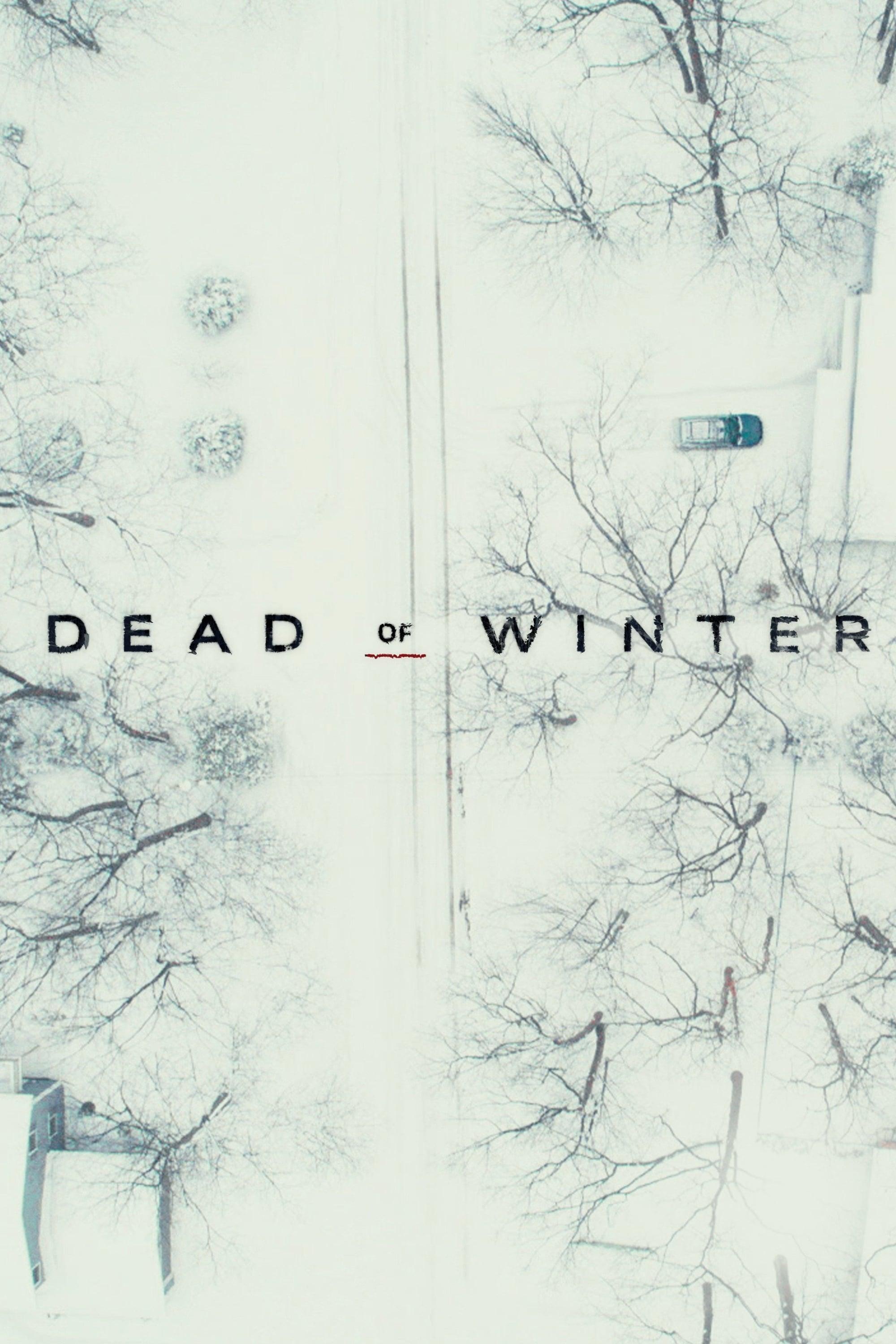 Dead of Winter poster