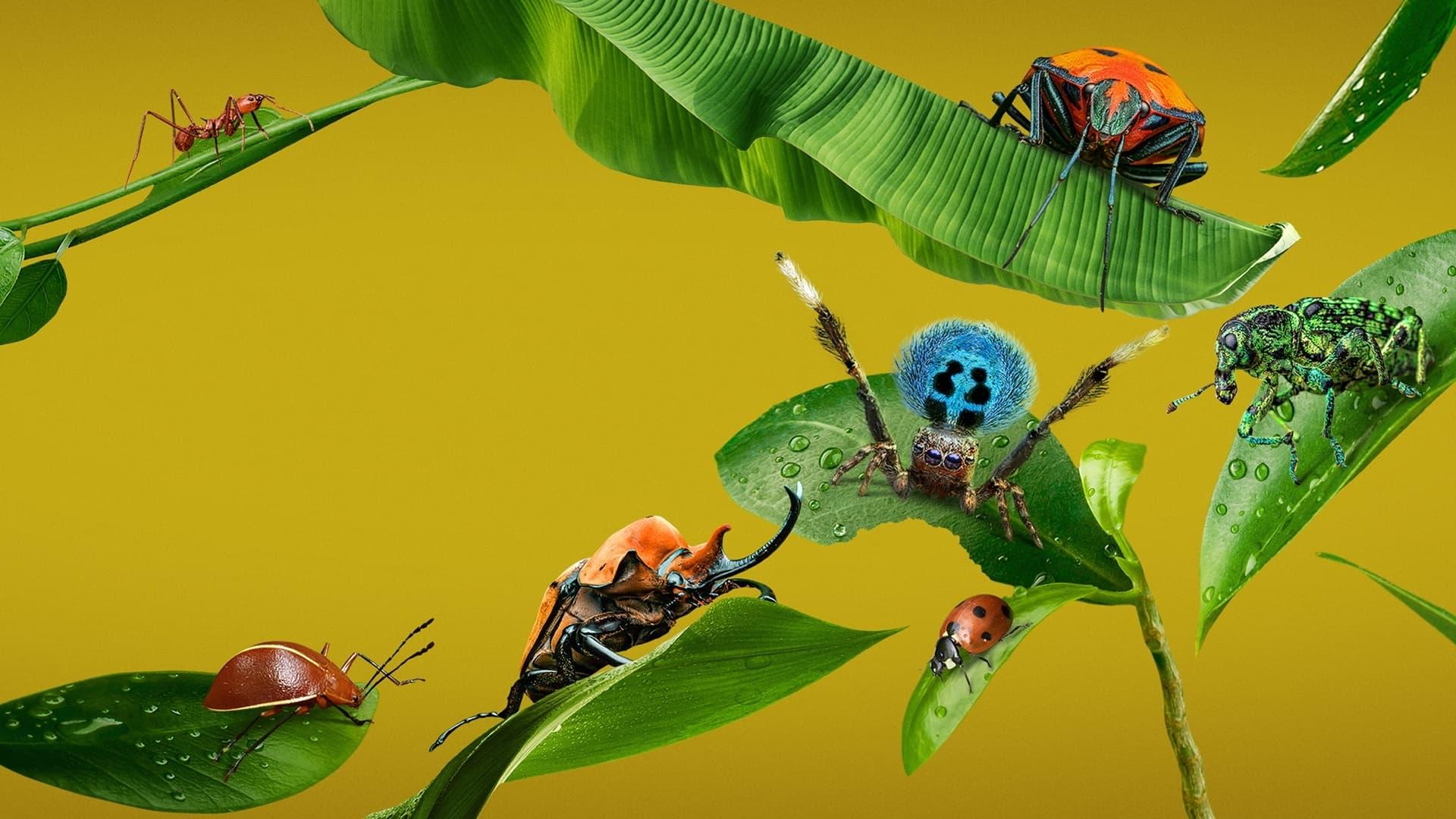 A Real Bug's Life backdrop