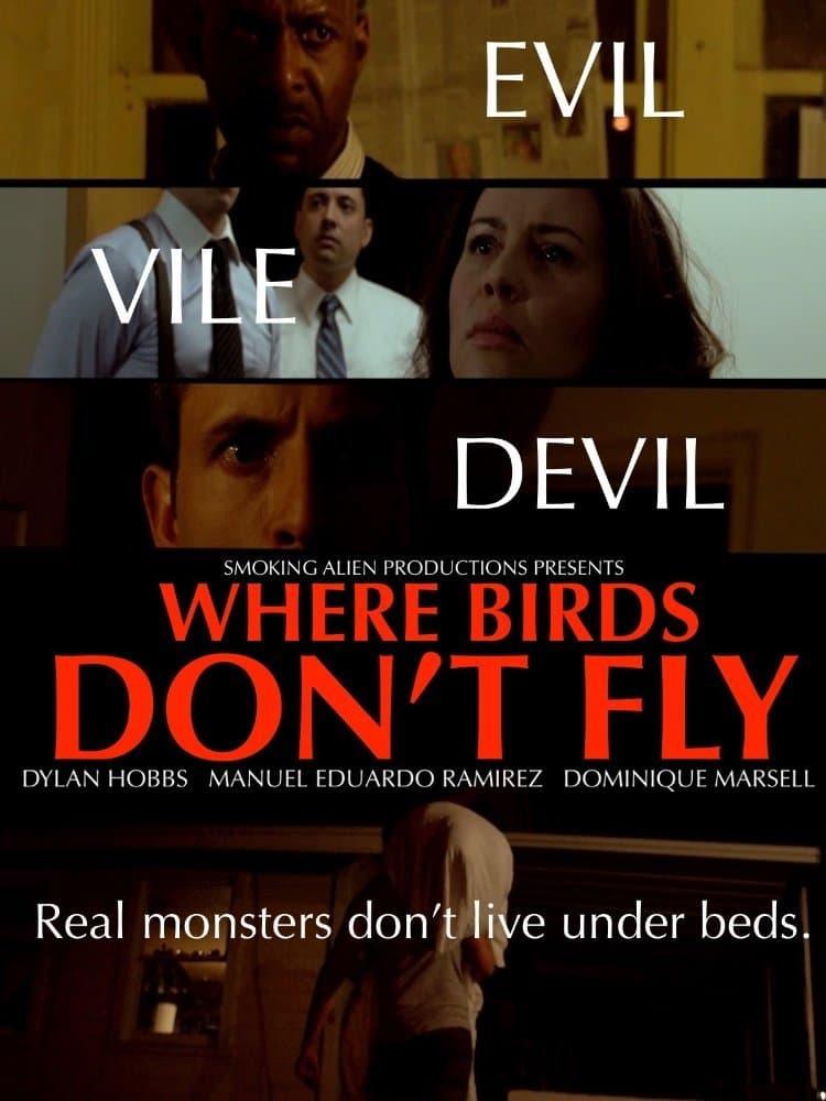 Where Birds Don't Fly poster