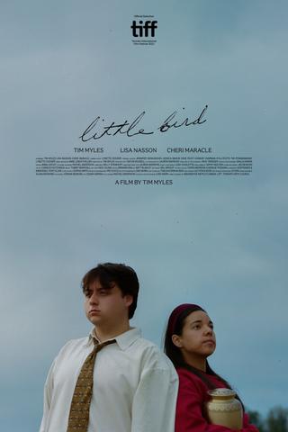 Little Bird poster