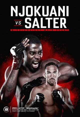 Bellator 210: Njokuani vs. Salter poster