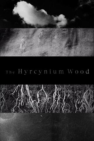 The Hyrcynium Wood poster