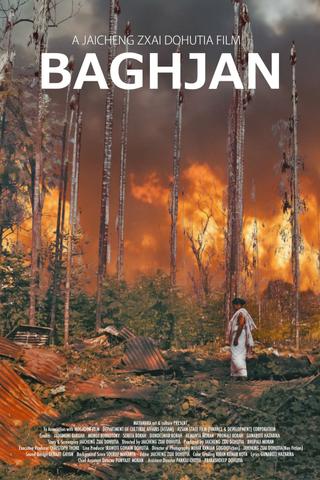 Baghjan poster