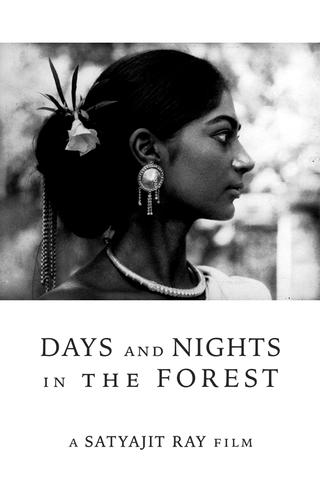 Days and Nights in the Forest poster