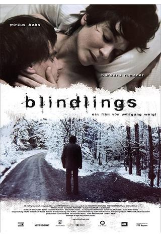 Blind Spot poster