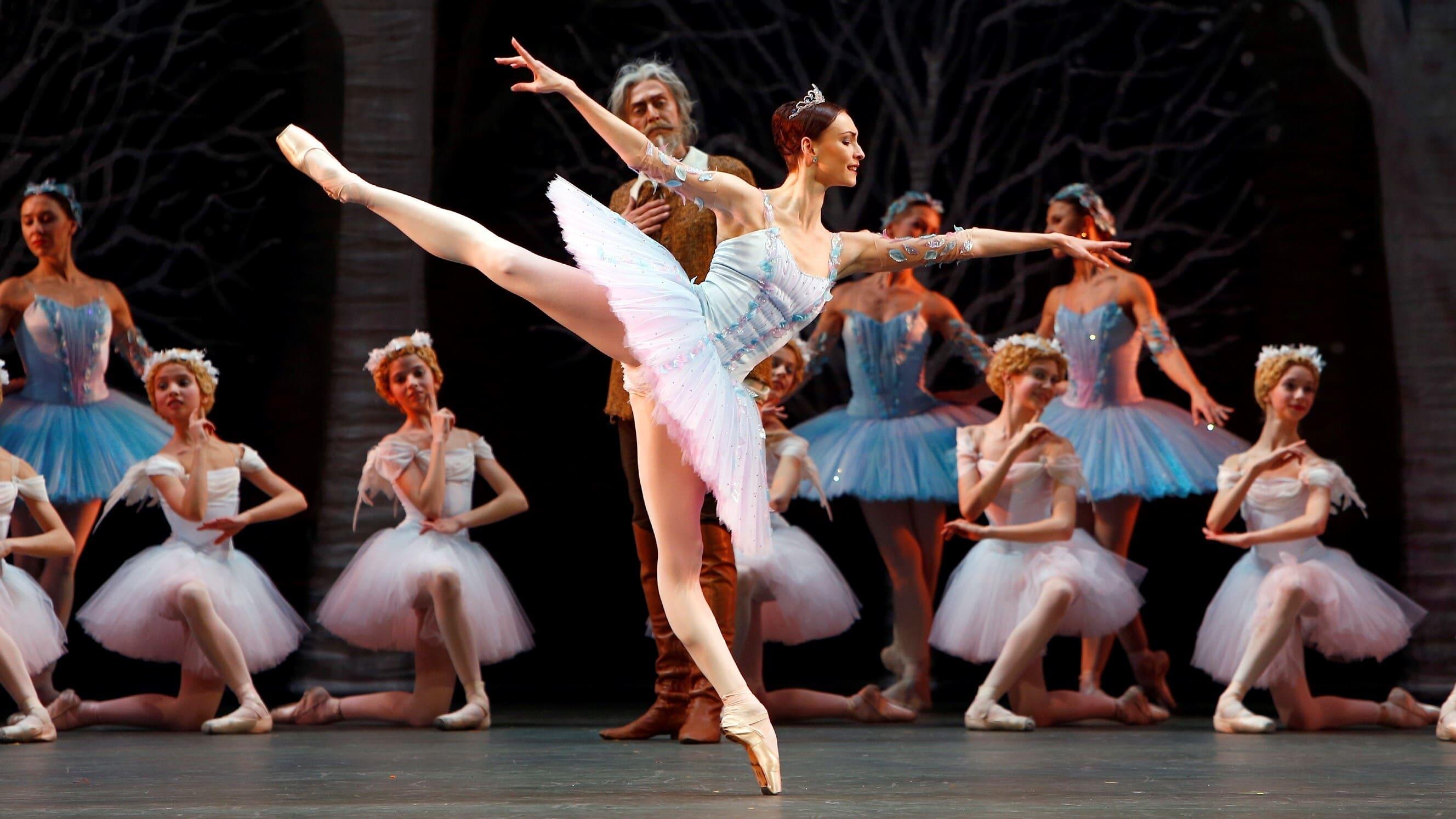 Bolshoi Ballet: Don Quixote backdrop