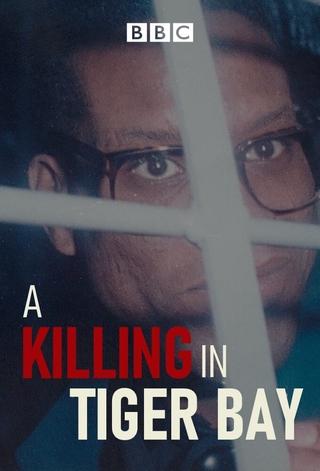 A Killing in Tiger Bay poster